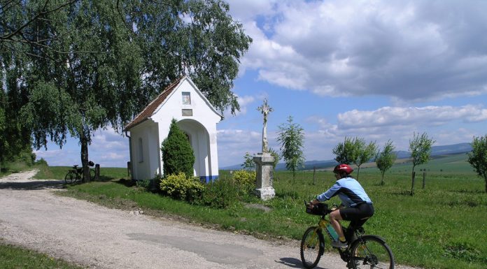 Tipy na vinařské akce – 33. týden