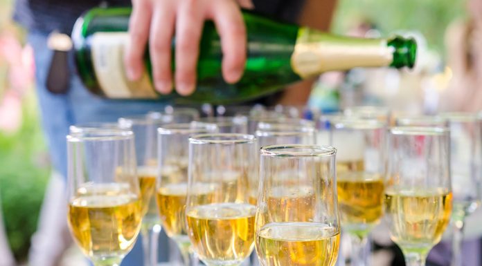 Tipy na vinařské akce – 15. týden