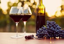 Červená jízda Velkopavlovickem