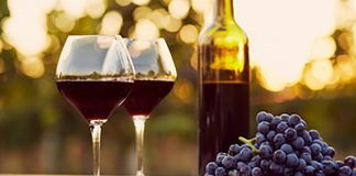 Červená jízda Velkopavlovickem