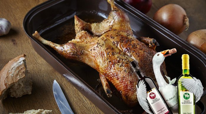 Tipy na vinařské akce – 46. týden