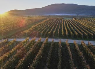 Vrbnička Žlachtina, nevíte co to je?