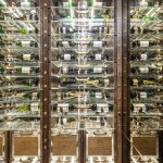 Yacht Wine Cellar by WineByDesign