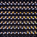 Frognal Wine Cellar by WineByDesign