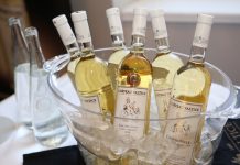 Tipy na vinařské akce – 10. týden