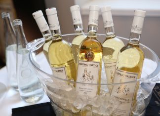 Tipy na vinařské akce – 5. týden