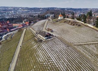 Vinice Svatá Klára