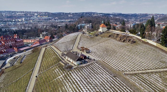 Vinice Svatá Klára