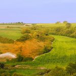 dreamstime_xxl_18543671