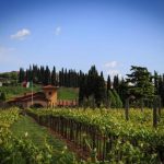 Brunelli vinice_2