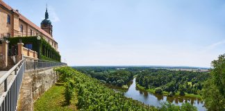 Za vínem i do Čech!