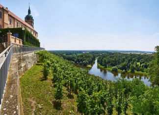 Za vínem i do Čech!