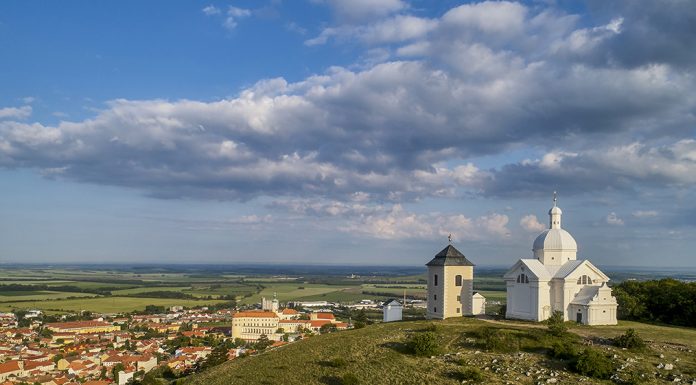 Nejlepší vína Národní soutěže vín ochutnáte již tento týden!