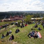 Festival jak v°no 28.7 (5)