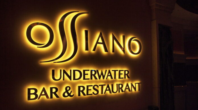 VEČEŘE MEZI ŽRALOKY