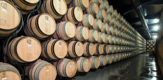 Festival Portugalských vín v Praze