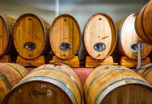 Na víno chytře. Šetrně k přírodě, vstřícné ke kvalitě