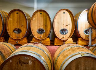 Na víno chytře. Šetrně k přírodě, vstřícné ke kvalitě