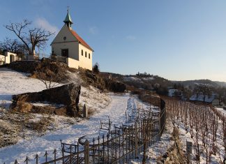 Noc otevřených vín i svařáček. Zahřejte se v botanické zahradě