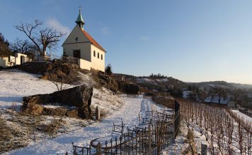 Noc otevřených vín i svařáček. Zahřejte se v botanické zahradě