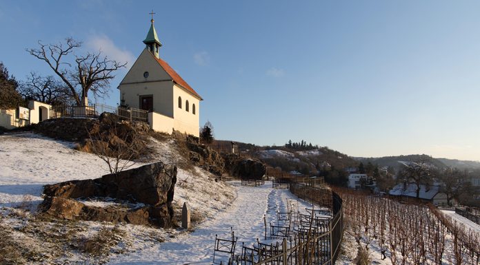 Noc otevřených vín i svařáček. Zahřejte se v botanické zahradě