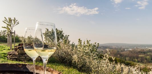 Pozdvihněte sklenici: „Na vinařské jaro!“