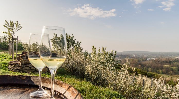 Pozdvihněte sklenici: „Na vinařské jaro!“