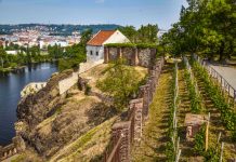 PRAŽSKÉ VINICE 2019               Objevte kouzlo vinohradů a vín v srdci metropole