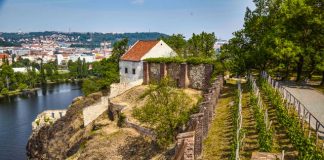 PRAŽSKÉ VINICE 2019 Objevte kouzlo vinohradů a vín v srdci metropole