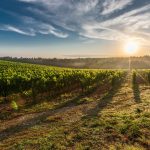tuscany-428041_1920