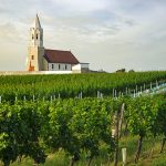 noe_carnuntum_hoeflein_650
