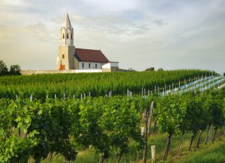 CARNUNTUM DAC: Rakousko má čtrnáctý vinařský region s ochrannou známkou původu