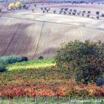 Paesaggio4