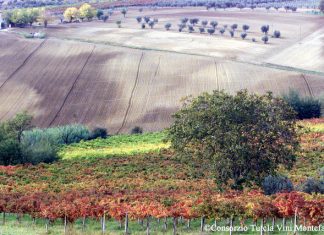 Montefalco Sagratino DOCG. Podzimní výlet za skrytou perlou Umbrie