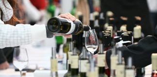 MLADÁ VÍNA 2019 POTVRZUJÍ VÝJIMEČNÝ ROČNÍK