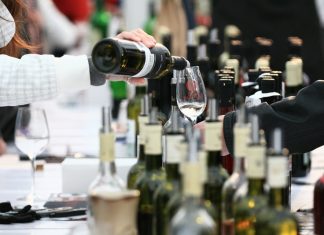 MLADÁ VÍNA 2019 POTVRZUJÍ VÝJIMEČNÝ ROČNÍK