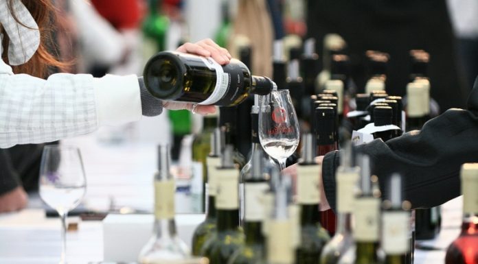 MLADÁ VÍNA 2019 POTVRZUJÍ VÝJIMEČNÝ ROČNÍK