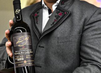 Nejlepší víno České republiky pro rok 2020