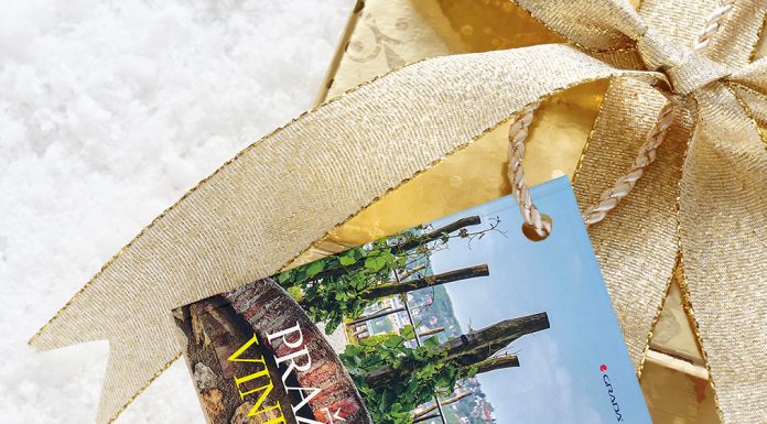 Vánoční dárek milovníkům vína