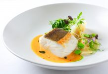 Polární treska se vrací