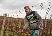 Mistrovství ČR v řezu révy vinné se letos neuskuteční