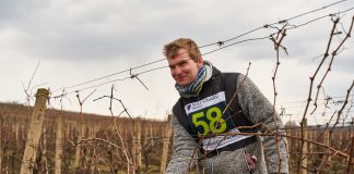 Mistrovství ČR v řezu révy vinné se letos neuskuteční