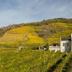 Domane_Wachau_Kellerschlossel_Kellerberg_zdroj_Global_Wines