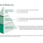 Wachau DAC Pyramide EN