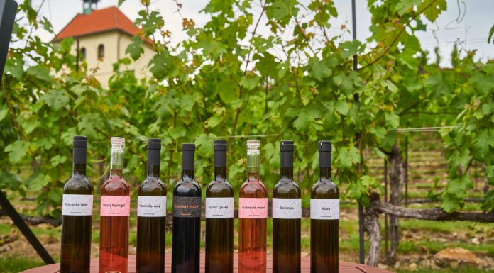 BOBULE K BOBULI. Komedie 3Bobule odstartovala cestu českými kiny. Herci a tvůrci pokřtili vína ze slavné pražské vinice