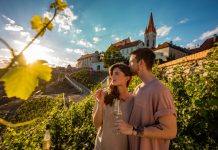 Znojemské VOC sbírá další úspěchy. Šampionem na Znojemsku je Rýňák VOC