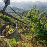 Zabublejte si! Svůj svátek slaví Prosecco