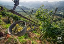 Zabublejte si! Svůj svátek  slaví Prosecco