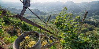 Zabublejte si! Svůj svátek slaví Prosecco