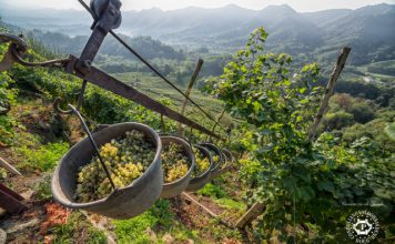 Zabublejte si! Svůj svátek slaví Prosecco